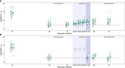 Impact of host stress on the replication rate of Plasmodium: take it easy to avoid malaria recurrences